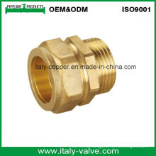 ISO9001 Certified Brass Forged Compression End Male Socket (AV7004)